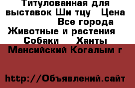 Титулованная для выставок Ши-тцу › Цена ­ 100 000 - Все города Животные и растения » Собаки   . Ханты-Мансийский,Когалым г.